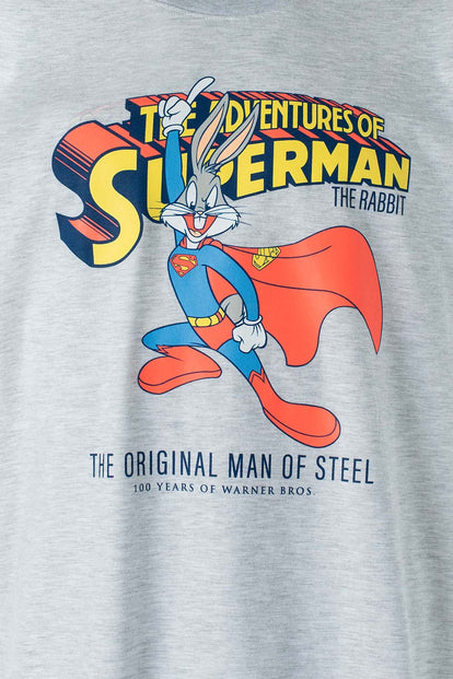  CAMISETA DE WARNER 100 ESTAMPADA GRIS GÉNERO NEUTRO