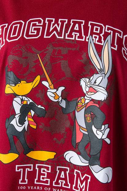  CAMISETA DE WARNER 100 ESTAMPADA VINOTINTO GÉNERO NEUTRO