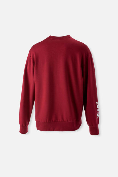  BUZO DE FLASH VINOTINTO CERRADO PARA HOMBRE