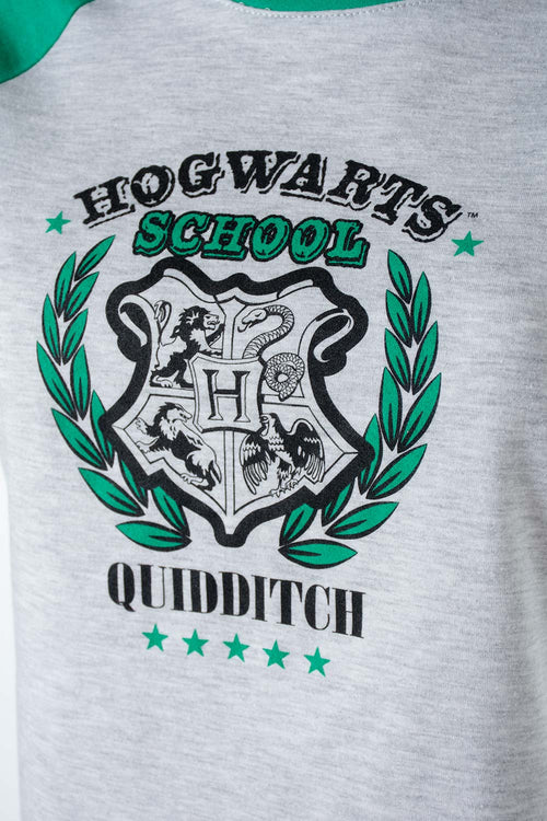 Card slide image -  CAMISETA DE HARRY POTTER VERDE Y GRIS JASPE CON BLOQUES DE COLOR EN MANGAS PARA MUJER