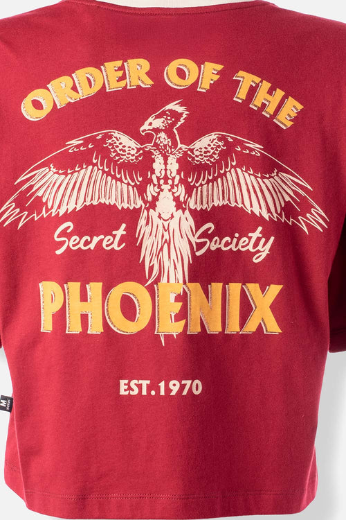 Card slide image -  CAMISETA DE HARRY POTTER BOXY FIT PARA MUJER