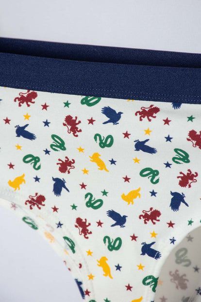  PACK X2 PANTIES DE HARRY POTTER PARA MUJER