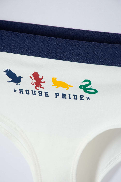 Card slide image -  PACK X2 PANTIES DE HARRY POTTER PARA MUJER