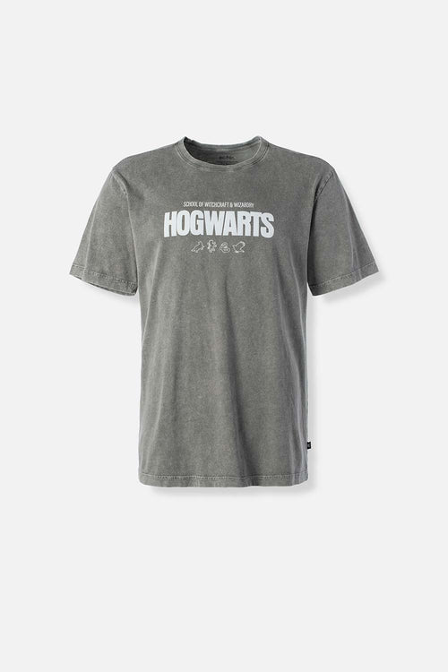 Card slide image -  CAMISETA DE HARRY POTTER GRIS REGULAR FIT PARA HOMBRE