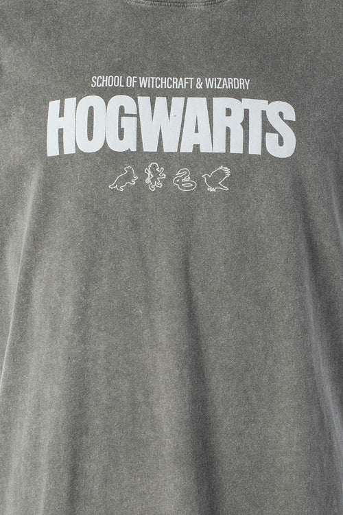 Card slide image -  CAMISETA DE HARRY POTTER GRIS REGULAR FIT PARA HOMBRE